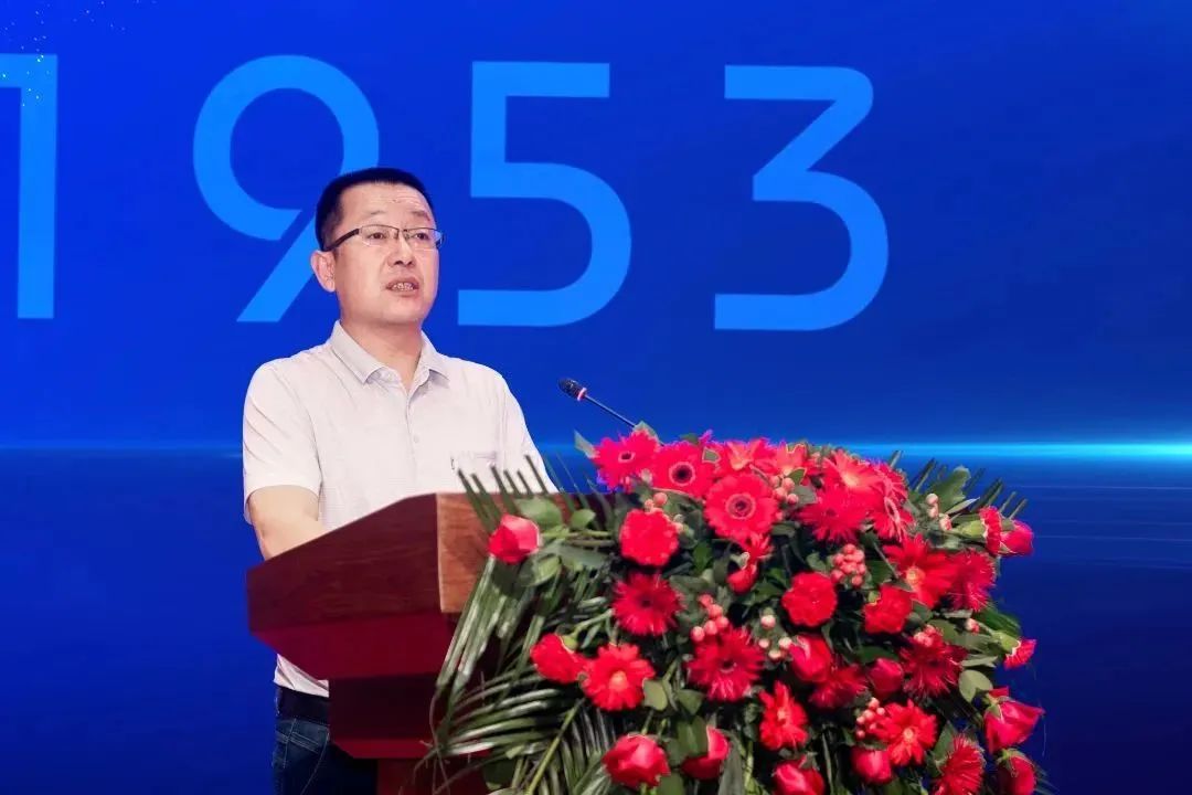 1685355521167537.jpg 7.jpg